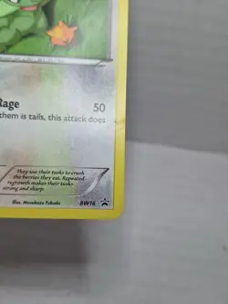2011 Pokemon TCG Axew BW16 Mystery Egg Black Star Promo - Image 4