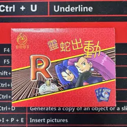 2001 WOTC Team Rocket Promo Envelope (Dark Arbok) Pokemon ENVELOPE ONLY - Image 1