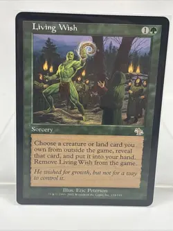 Living Wish Judgment Regular - Image 1