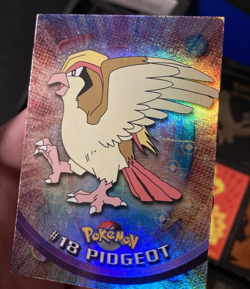Topps Pokemon TV Animation Edition Series 1 Rainbow Holo Foil #18 Pidgeot Blue - Image 2