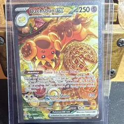 Pokemon Dachsbun EX SV07 Stellar Crown 169/142 Holo 250 HP - Image 1