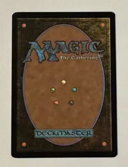 MTG Bedrock Tortoise - The Lost Caverns of Ixalan LP - Image 2