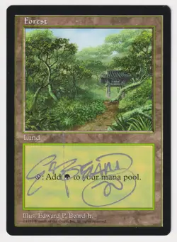 Signed Forest MP APAC Land Clear Pack Korea Artist Edward P. Beard, Jr. 1997 MTG - Image 1