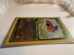 Pokemon TCG Southern Islands Promo Holo Pidgeot Butterfree Onix Raticate Ledyba - Image 3