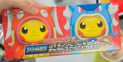 Pokemon Magikarp & Gyarados Poncho Empty Box - Image 1