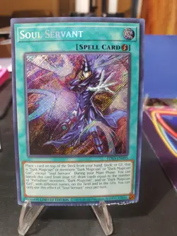 Yu-Gi-Oh! Soul Servant LDS3-EN095 Legendary Duelists: Season 3 Secret Rare Card - Image 1