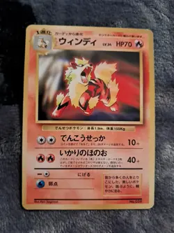 Arcanine Unnumbered Promotional Cards Regular (Japanese) - Image 1