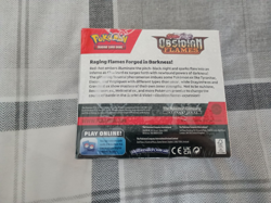 Pokemon Obsidian Flames Booster Box - Brand New & Factory Sealed - Image 2