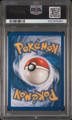 Pokemon PSA 10 Piloswine #24 Skyridge 2003 English - Image 3