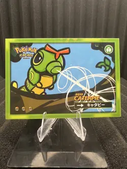 Caterpie #10 - Cracked Ice Holo - Flash Edition Safari 2025 - Pokemon Card - Image 1