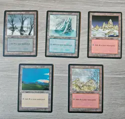 Pack Lot Magic The Gathering Ice Age Basic Land Mountain Plains Island Snow... - Image 1