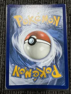 Pikachu SM162 Holo Black Star Promo Pokemon Card - Image 5