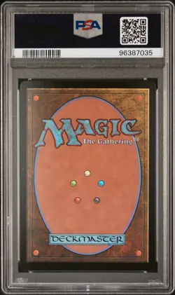 Salvation Swan - #297 - Showcase Foil - Rare - MTG Bloomburrow - PSA 10 - Image 3