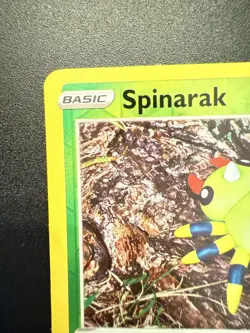 Pokemon GO Peelable Ditto Set - Bidoof/Spinarak/Numel 2022 006/013/059 - LP/NM - Image 3