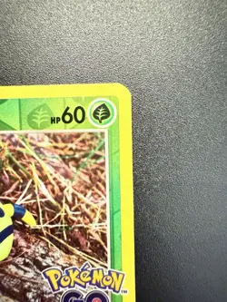 Pokemon GO Peelable Ditto Set - Bidoof/Spinarak/Numel 2022 006/013/059 - LP/NM - Image 4