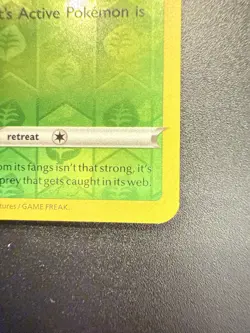 Pokemon GO Peelable Ditto Set - Bidoof/Spinarak/Numel 2022 006/013/059 - LP/NM - Image 5