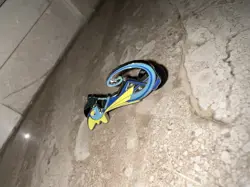 Lot Of 4 Pokemon Official Enamel Pins - Image 2