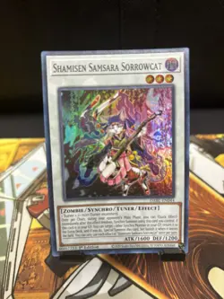 Yu-Gi-Oh! Shamisen Samsara Sorrowcat 1st Ed. DABL-EN044 Super Rare NM/LP x1 - Image 1