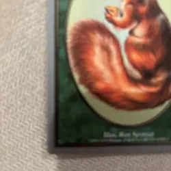 Magic the Gathering - Unglued - Squirrel Token - Very Good Condition - Image 5