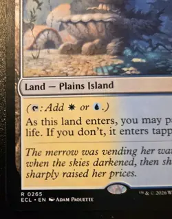 Hallowed Fountain 0265 Rare Lorwyn Eclipsed Magic: The Gathering - Image 4