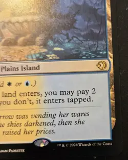 Hallowed Fountain 0265 Rare Lorwyn Eclipsed Magic: The Gathering - Image 5