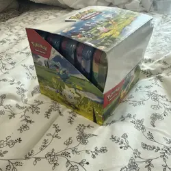 Pokemon TCG Ascended Heroes - Mini Tins - Sealed Display Case In Hand - Image 2