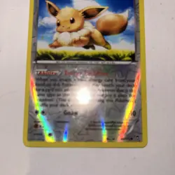 Eevee - 80/111 - Reverse Holo - XY: Furious Fists - Pokemon - NM - Image 4
