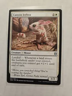 Canyon Jerboa - Zendikar Rising - LP - Uncommon - Creature - MTG - Image 1