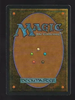 MTG 4th Edition Savannah Lions - Image 2