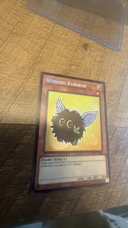 Yu-Gi-Oh! Winged Kuriboh 1st Edition Effect Holo Fairy Card MZM-EN064 - Image 1