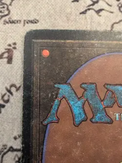 Bayou Revised Edition Regular - HP - Image 3