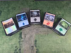Magic the gathering Bulk Land - 250 Basic lands **Random Assortment** - Image 1