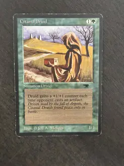 Citanul Druid - MP (Magic the Gathering Antiquities) - Image 1