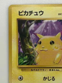 Pikachu Pokemon Card No.25 Lv12 HP40 Free Shipping From Japan - Image 2