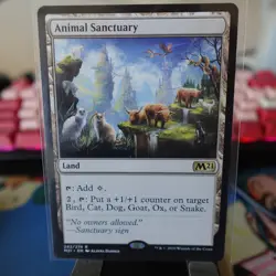 Animal Sanctuary | Core Set 2021 | #242 | Rare | NM - Image 1