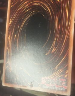 Yugioh: Sea Dragon Lord Gishilnodon - RGBT-EN044 - Super Rare - 1st Edition - LP - Image 5