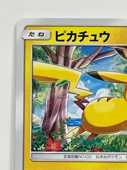 Pikachu 114/Sm-P Center Alola Festiavl Promo Pokemon Card Free Shipping From JP - Image 2