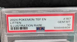 2024 Pokemon Temporal Forces Litten 167/162 Illustration Rare PSA 10 Gem Mint - Image 3