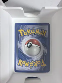 Pokemon Spinarak 111/147 2002 Nintendo Holo Basic Bug 40 HP Card - Image 2
