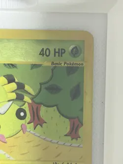 Pokemon Spinarak 111/147 2002 Nintendo Holo Basic Bug 40 HP Card - Image 4