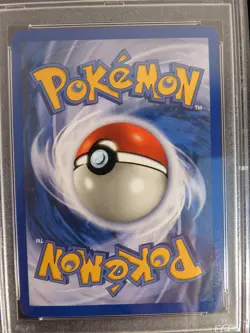 Steelix Holo H29/H32 Skyridge PSA 10 Gem Mint Pokemon 2003 - Image 4