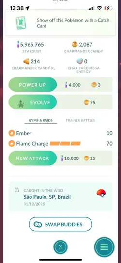 Pokemon Go Shiny Charmander Party Hat ( Reduced) - Image 2