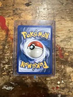 Pokemon Teddiursa 109/144 Skyridge Regular Card - Near Mint Condition - Image 2