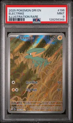 Electrike Pokemon Scarlet & Violet Destined Rivals 196 Illustration Rare PSA 9 - Image 1