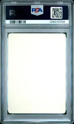2021 POKEMON JPN S PROMO STICKER LET'S HAVE FUN! SPRING, POKEKA PSA 10 - Image 2