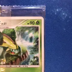 Turtwig Meiji Promo 034/DP-P Japanese MP Pokemon Single Rare Official Collector - Image 4