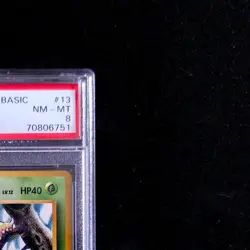 PSA 8 - Hornliu Weedle - Pokemon Karte Base Set No. 013 Jap Vintage TCG /Y86 - Image 4