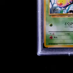PSA 8 - Hornliu Weedle - Pokemon Karte Base Set No. 013 Jap Vintage TCG /Y86 - Image 5
