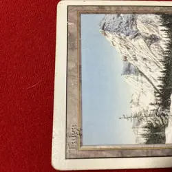Magic the Gathering Taiga Revised Edition - Poor - Image 3