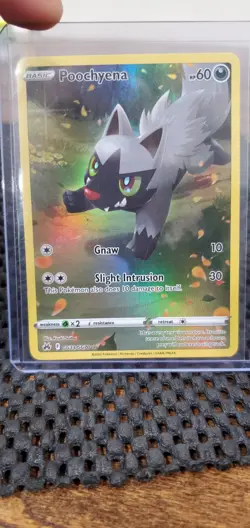 Poochyena GG33/GG70 Crown Zenith: 2022 Pokemon Galarian Gallery Holo - Full Art - Image 1